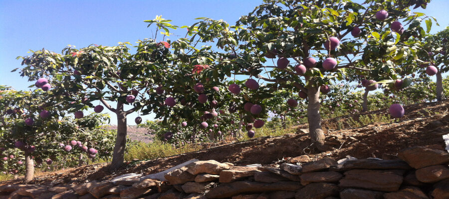 Foto 19-08-14 12 21 58